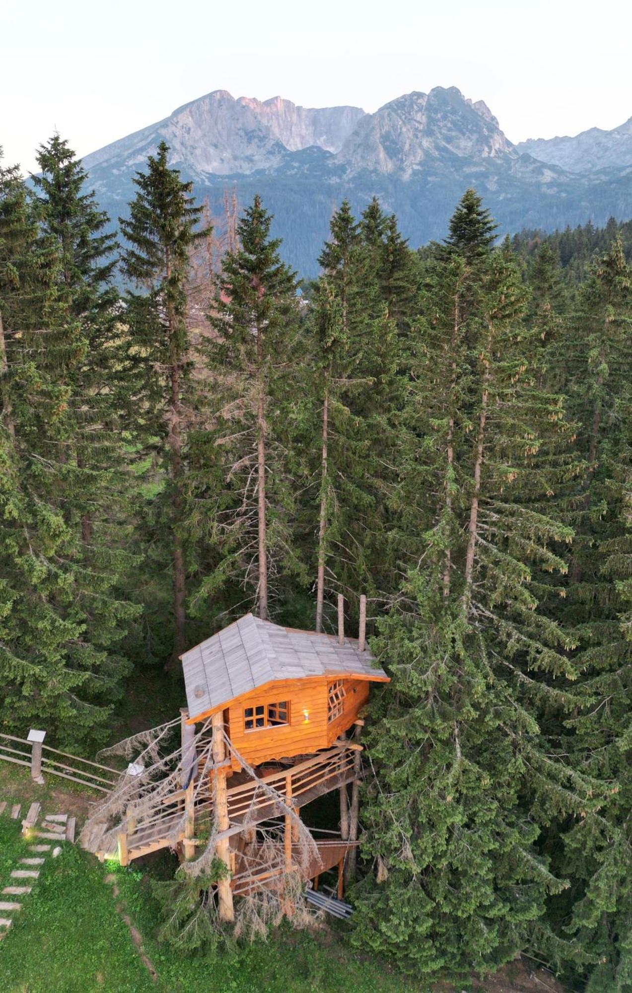 Guesthouse Planinarski dom Neviđen'o Žabljak Buitenkant foto