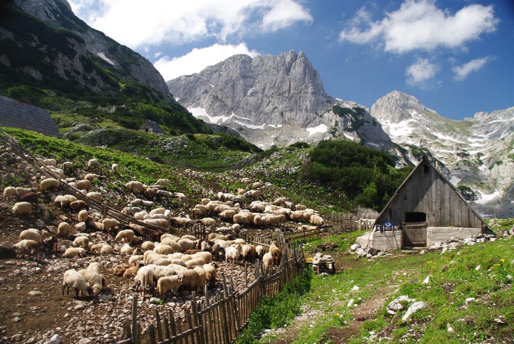 Guesthouse Planinarski dom Neviđen'o Žabljak Buitenkant foto