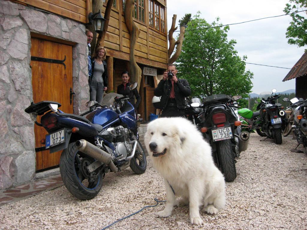 Guesthouse Planinarski dom Neviđen'o Žabljak Buitenkant foto