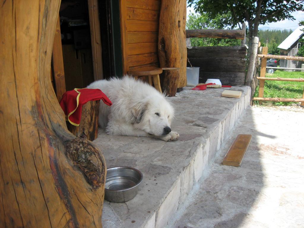 Guesthouse Planinarski dom Neviđen'o Žabljak Buitenkant foto