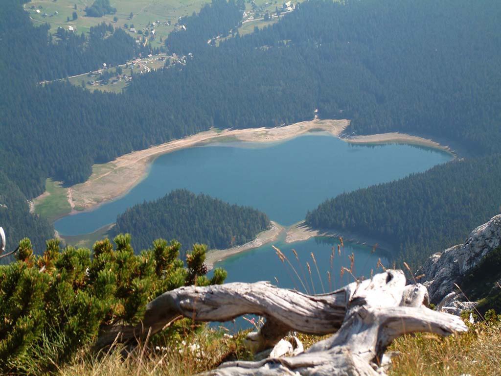 Guesthouse Planinarski dom Neviđen'o Žabljak Buitenkant foto