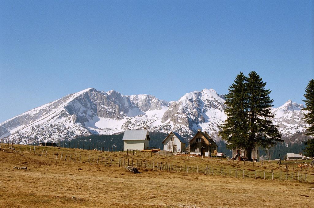 Guesthouse Planinarski dom Neviđen'o Žabljak Buitenkant foto