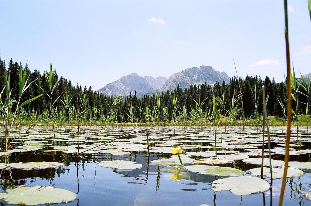 Guesthouse Planinarski dom Neviđen'o Žabljak Buitenkant foto