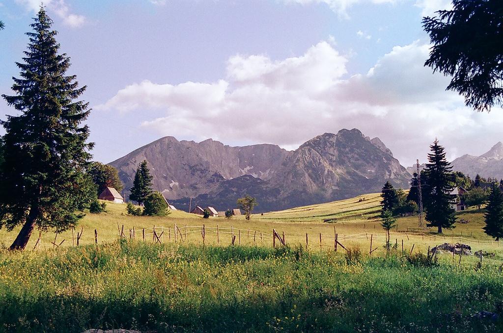 Guesthouse Planinarski dom Neviđen'o Žabljak Buitenkant foto