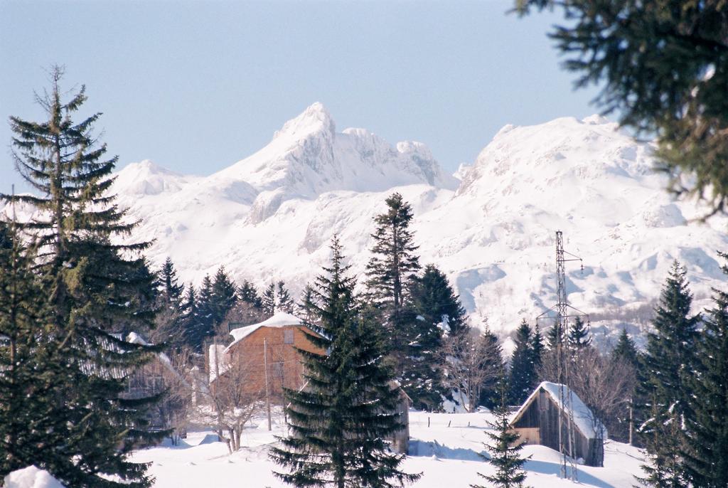 Guesthouse Planinarski dom Neviđen'o Žabljak Buitenkant foto