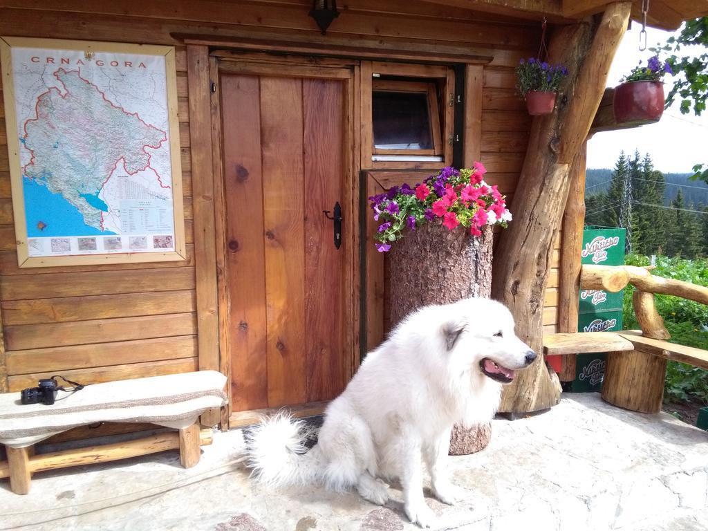 Guesthouse Planinarski dom Neviđen'o Žabljak Buitenkant foto