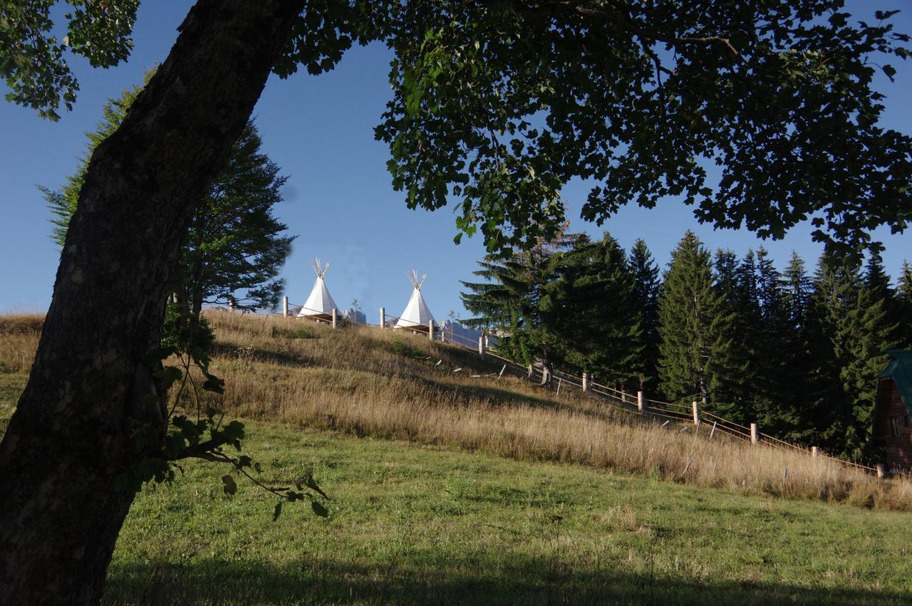 Guesthouse Planinarski dom Neviđen'o Žabljak Buitenkant foto