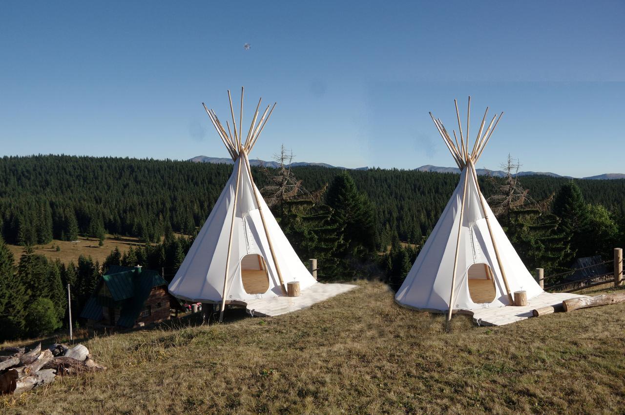 Guesthouse Planinarski dom Neviđen'o Žabljak Buitenkant foto