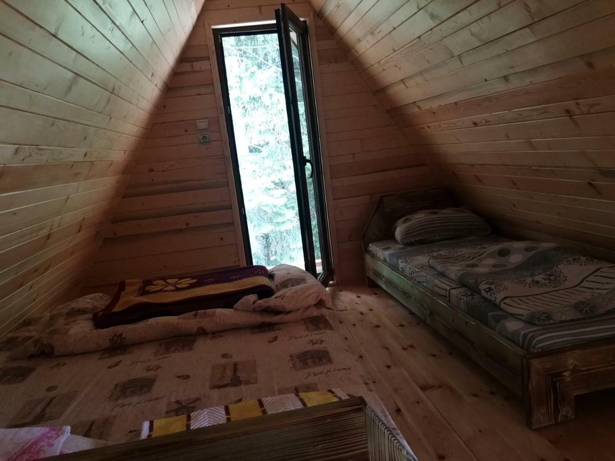 Guesthouse Planinarski dom Neviđen'o Žabljak Buitenkant foto