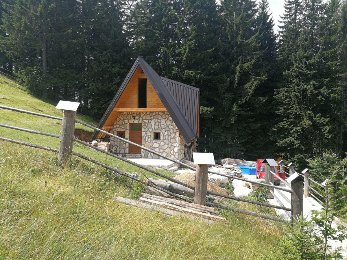 Guesthouse Planinarski dom Neviđen'o Žabljak Buitenkant foto