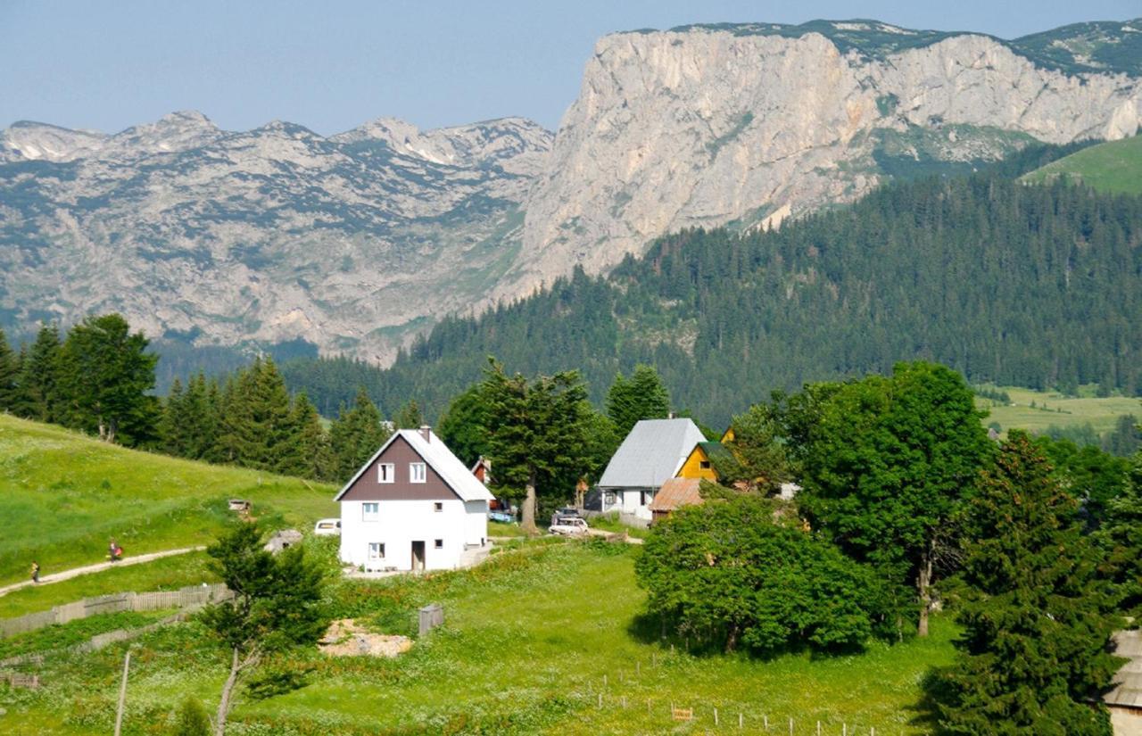 Guesthouse Planinarski dom Neviđen'o Žabljak Buitenkant foto